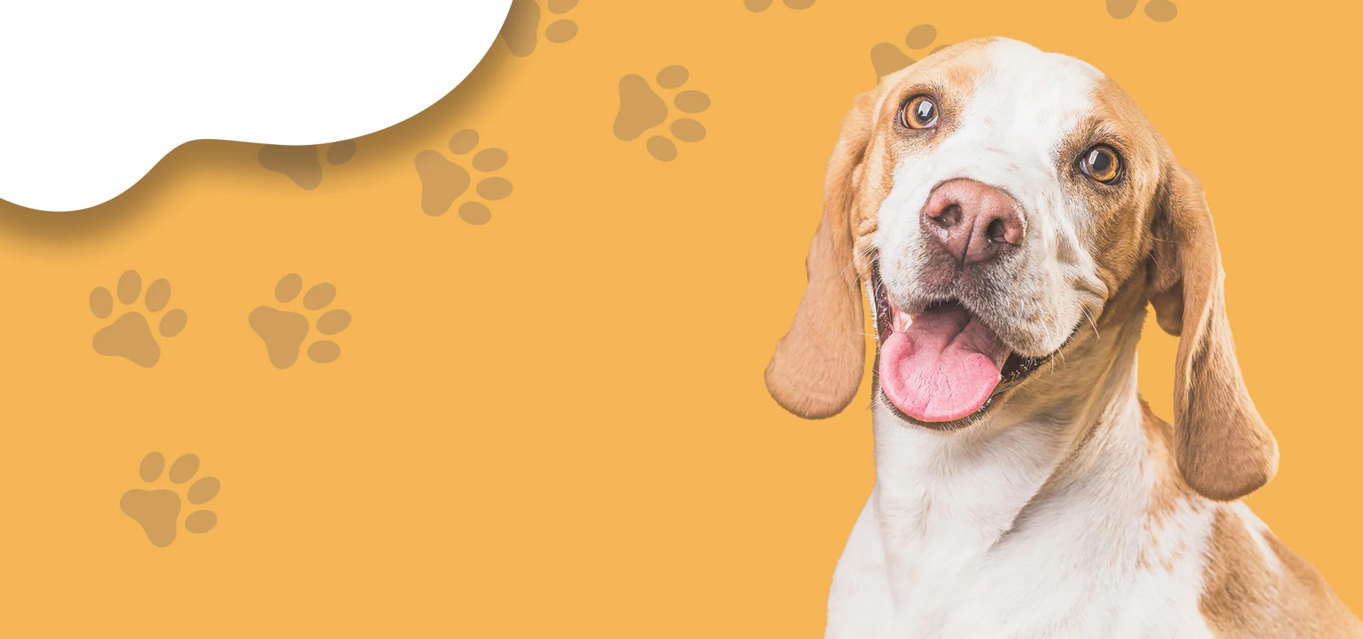 Din pasiune pentru rasă și suflet!